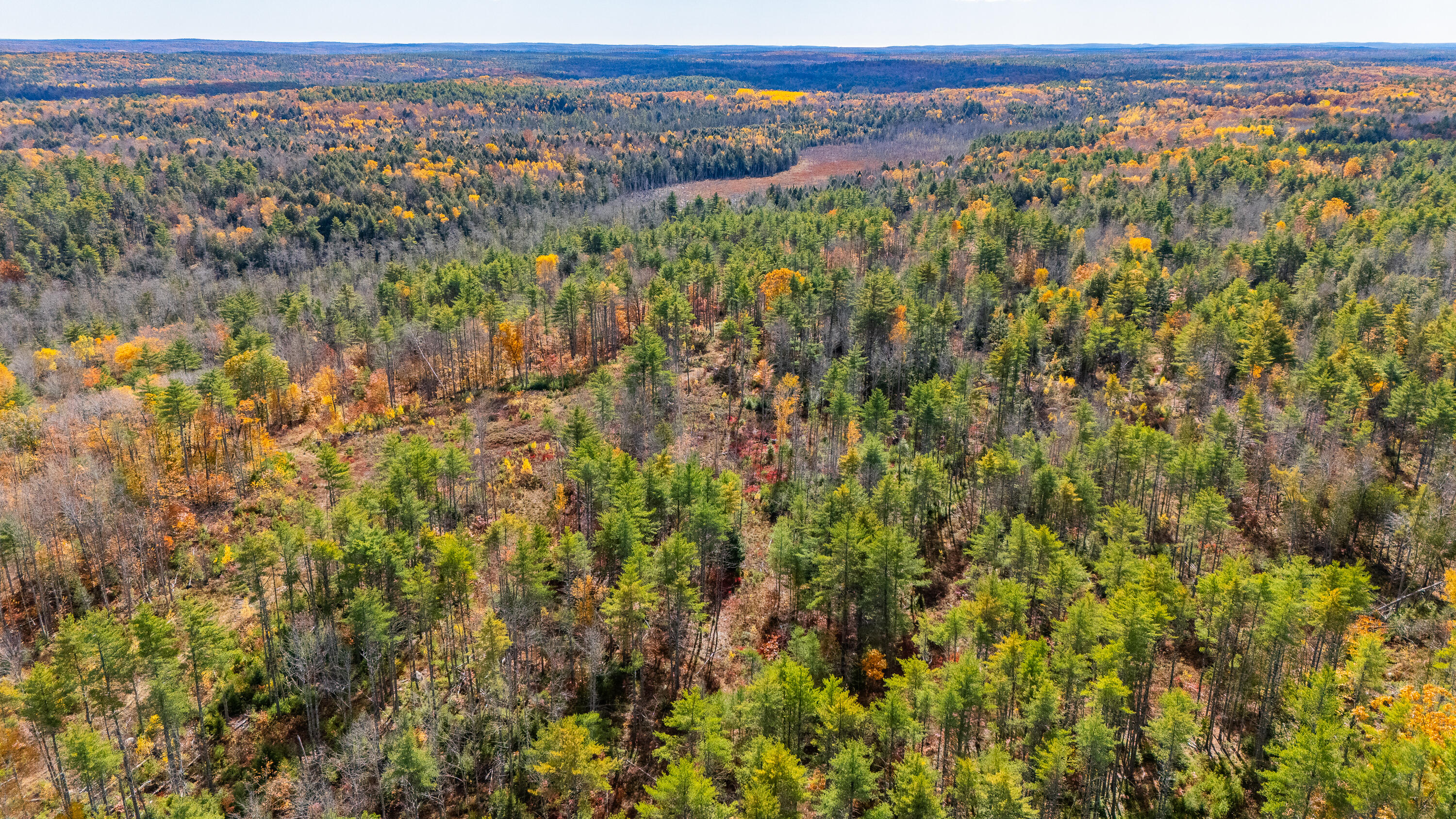 Lot 15-40 Gibbs Road Wiscasset, ME 04578 - Photo 36 of 107 Lot 8, 15 & 40 Gardiner Pond 034