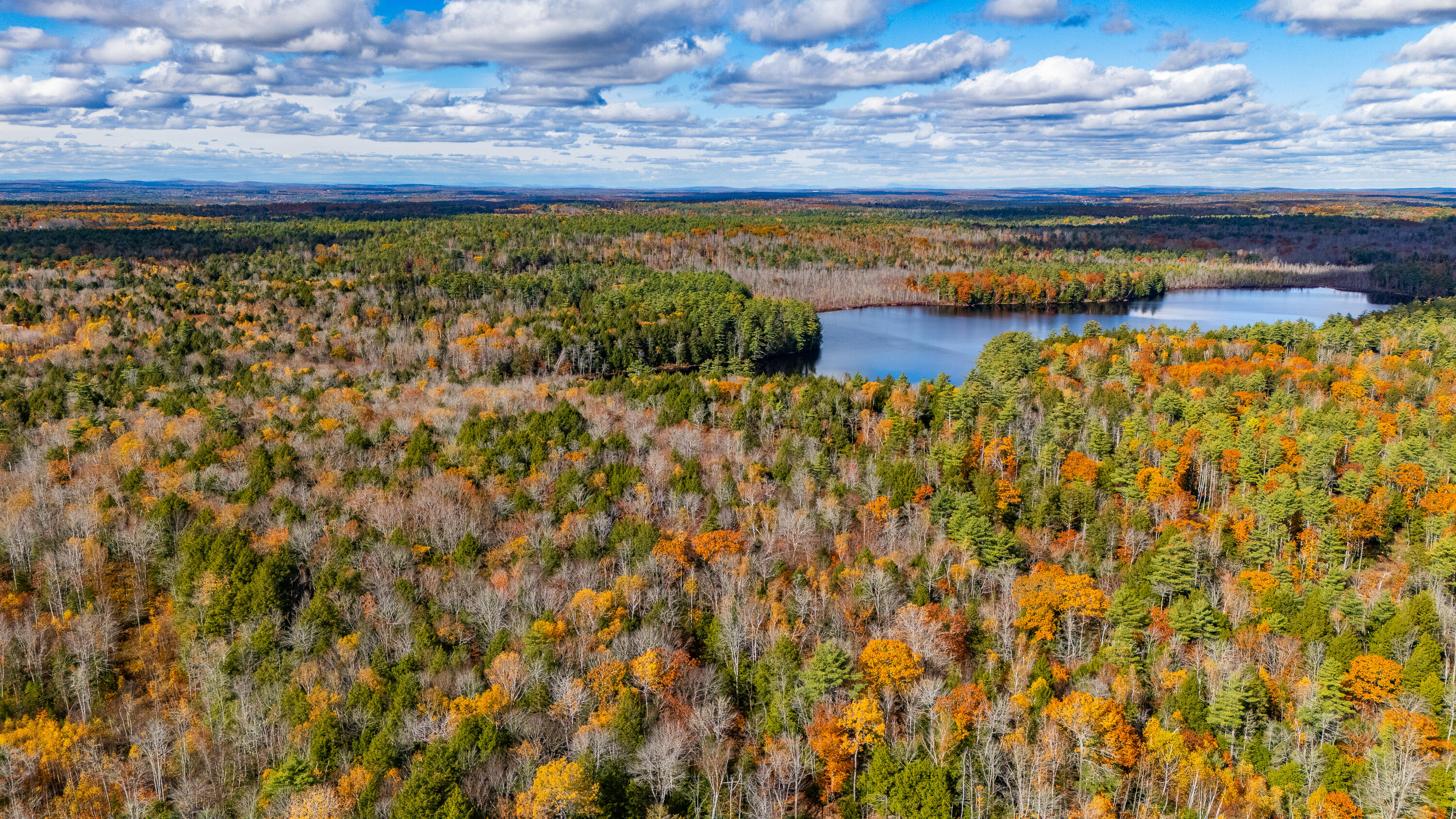 Lot 15-40 Gibbs Road Wiscasset, ME 04578 - Photo 50 of 107 Lot 8, 15 & 40 Gardiner Pond 048