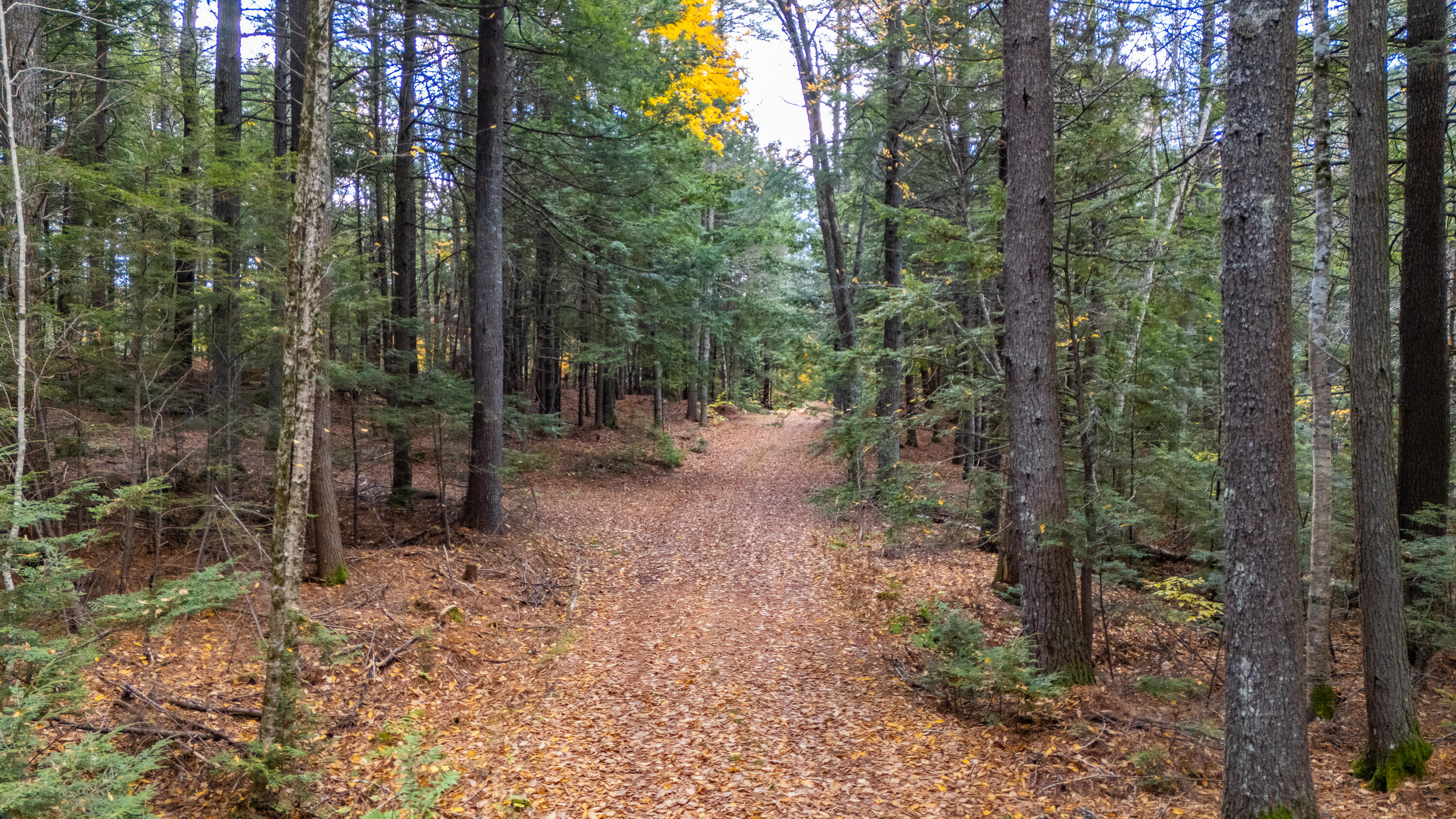 Lot 15-40 Gibbs Road Wiscasset, ME 04578 - Photo 5 of 107 Lot 8, 15 & 40 Gardiner Pond 002