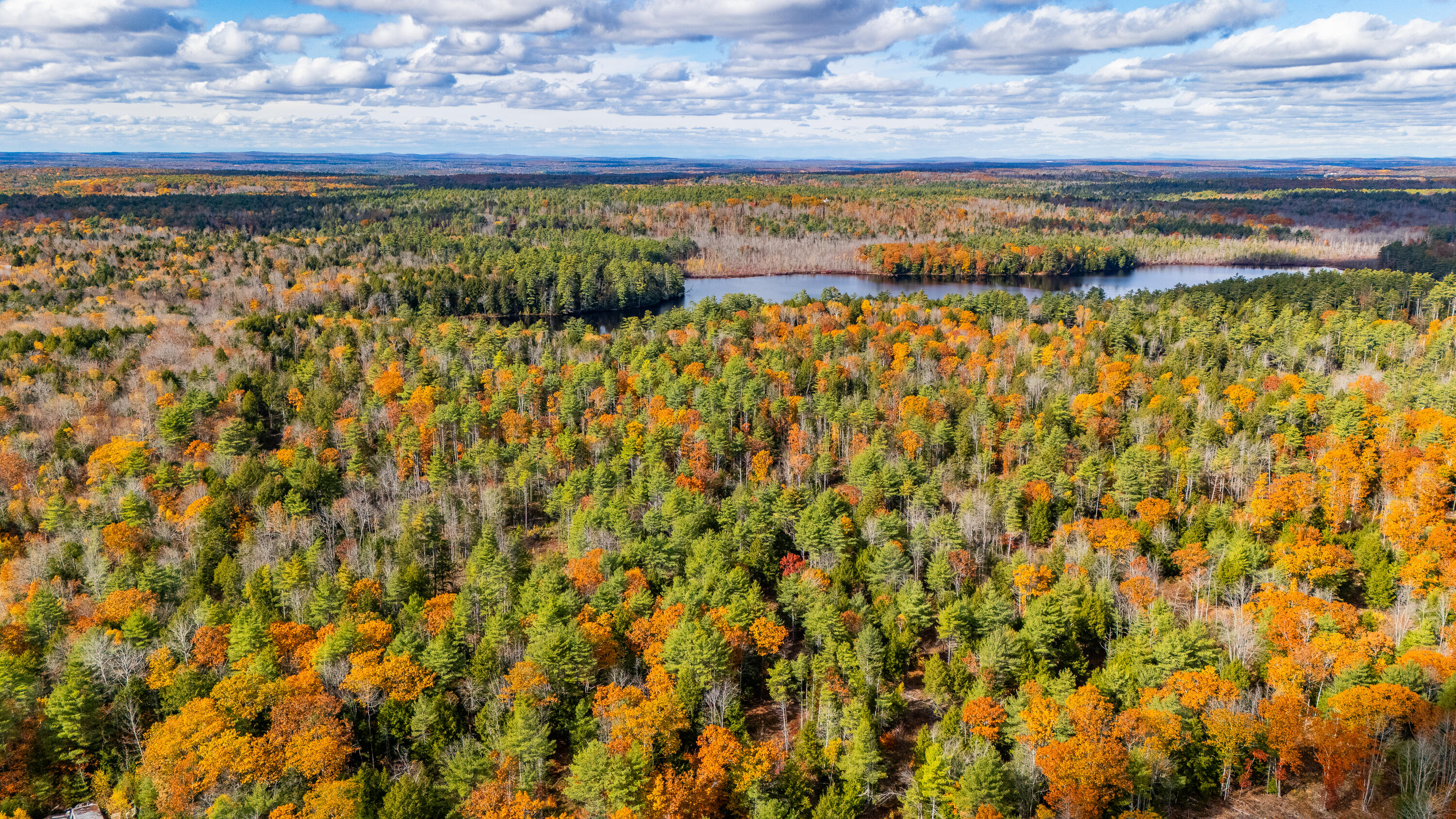 Lot 15-40 Gibbs Road Wiscasset, ME 04578 - Photo 51 of 107 Lot 8, 15 & 40 Gardiner Pond 049