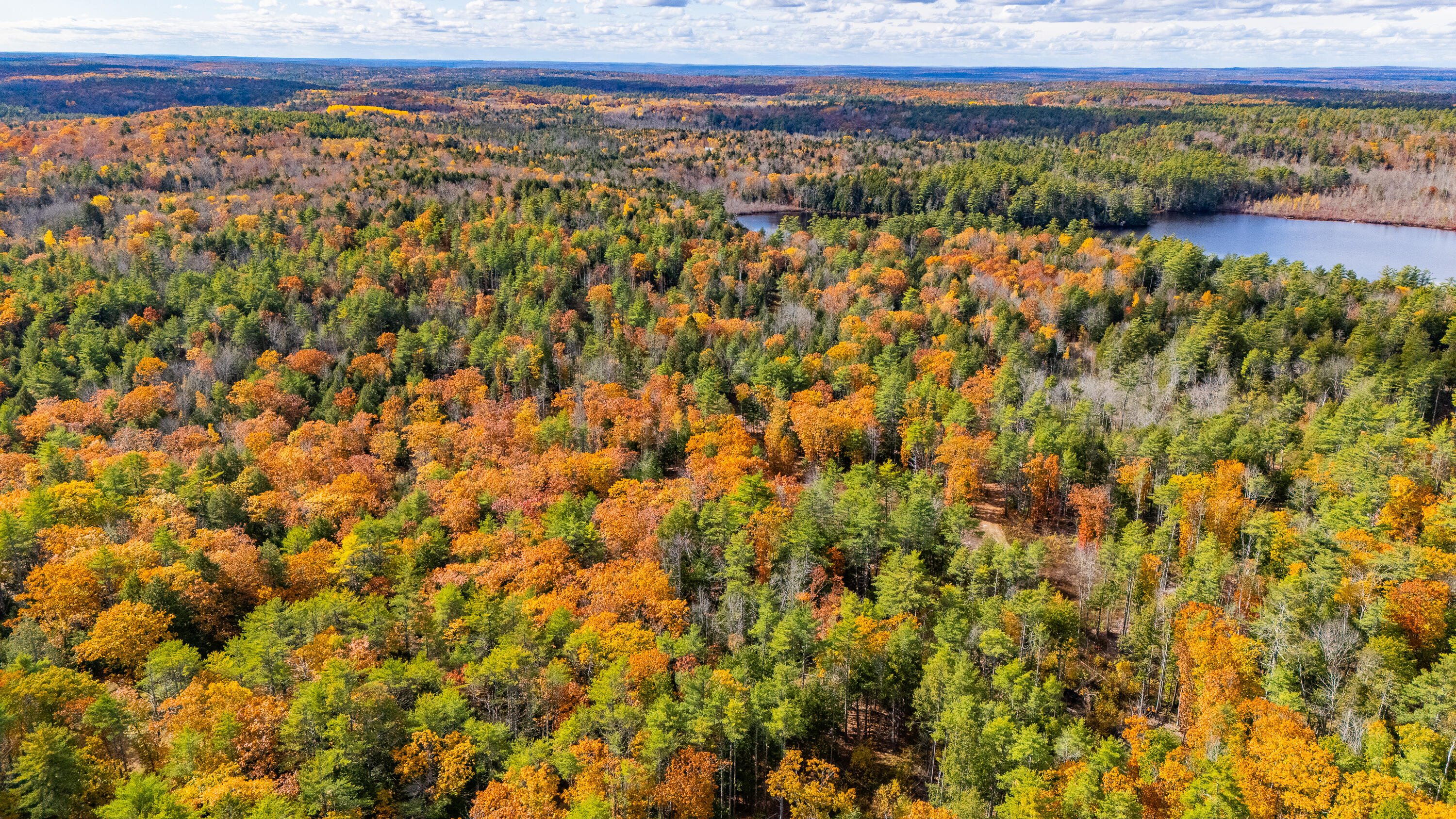 Lot 15-40 Gibbs Road Wiscasset, ME 04578 - Photo 53 of 107 Lot 8, 15 & 40 Gardiner Pond 051