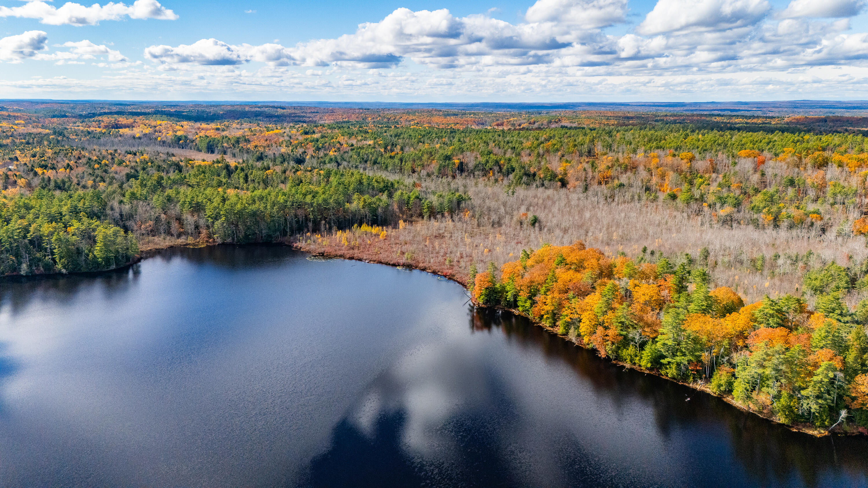 Lot 15-40 Gibbs Road Wiscasset, ME 04578 - Photo 62 of 107 Lot 8, 15 & 40 Gardiner Pond 060