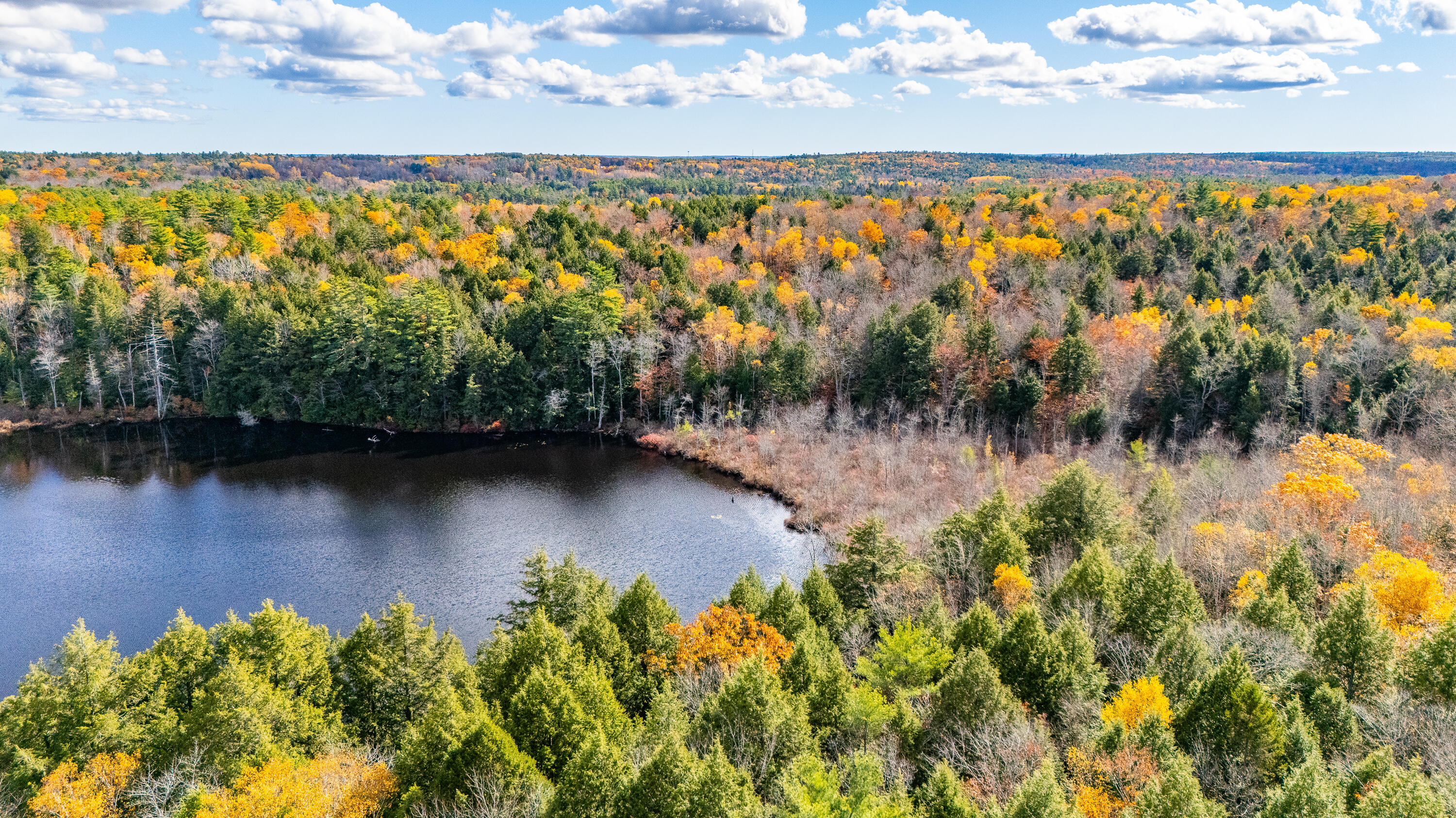 Lot 15-40 Gibbs Road Wiscasset, ME 04578 - Photo 75 of 107 Lot 8, 15 & 40 Gardiner Pond 073
