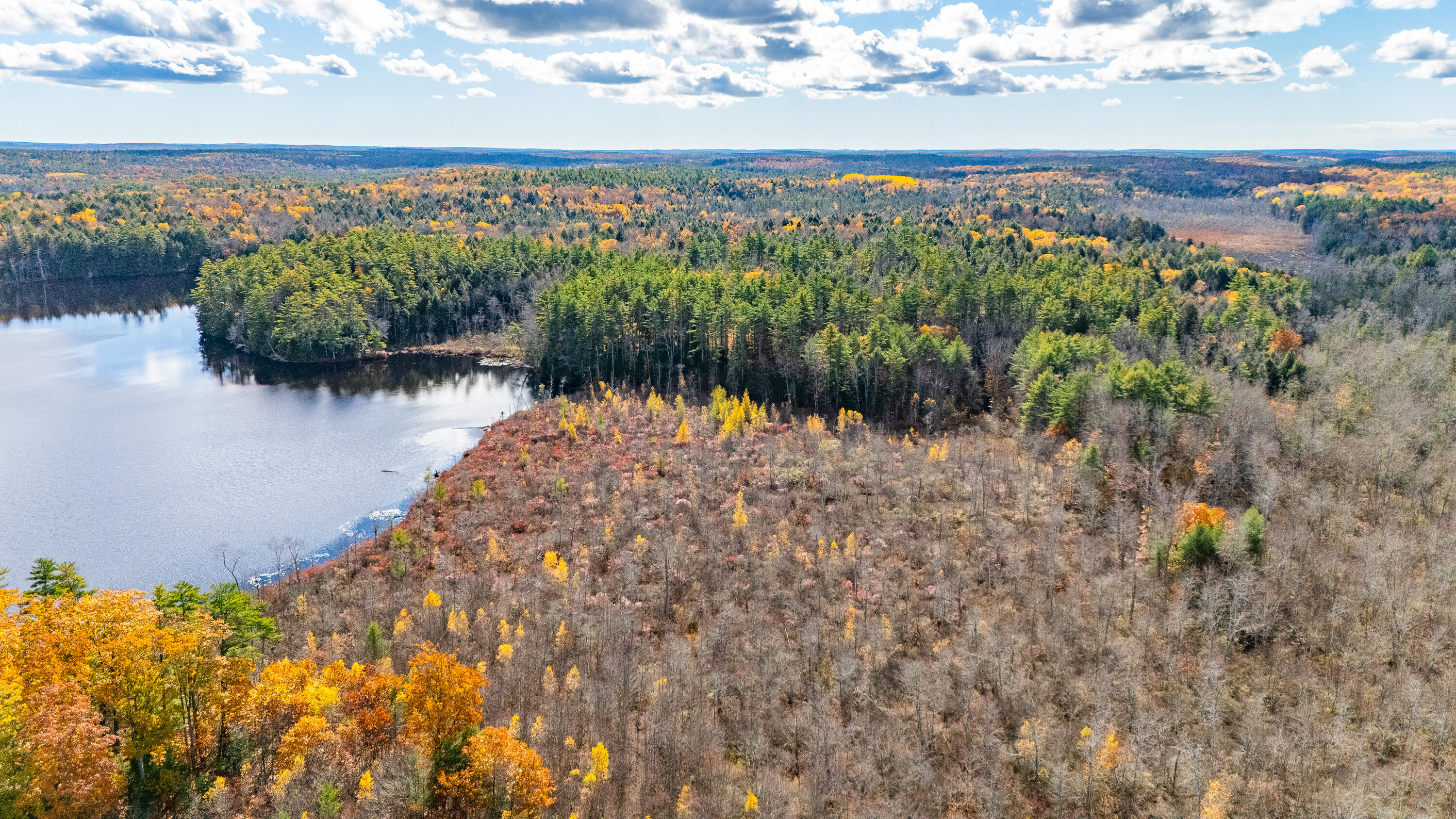 Lot 15-40 Gibbs Road Wiscasset, ME 04578 - Photo 87 of 107 Lot 8, 15 & 40 Gardiner Pond 085