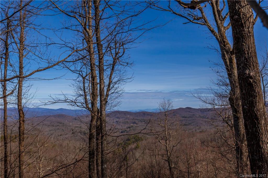 2 Nancy Mountain Road, Unit MULT Rosman, NC 28772 - Photo 2 of 19