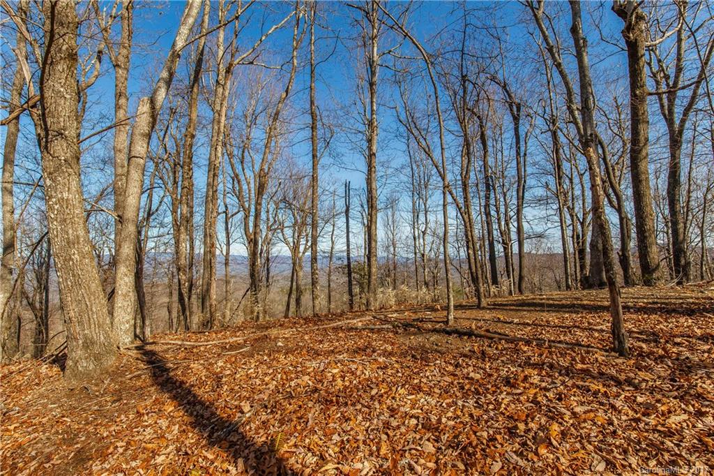 2 Nancy Mountain Road, Unit MULT Rosman, NC 28772 - Photo 11 of 19