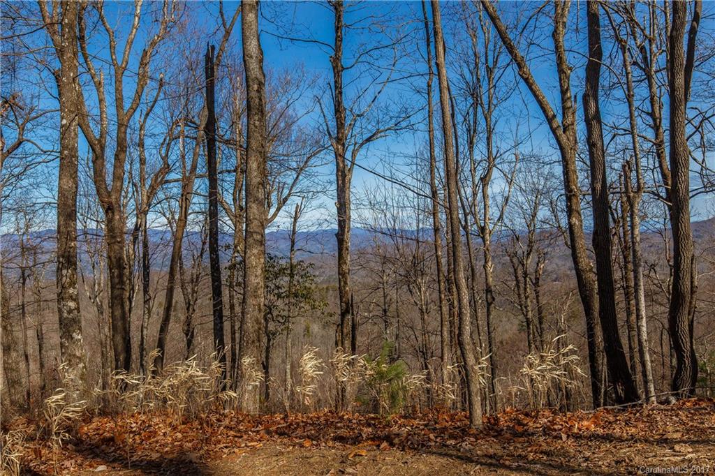 2 Nancy Mountain Road, Unit MULT Rosman, NC 28772 - Photo 12 of 19
