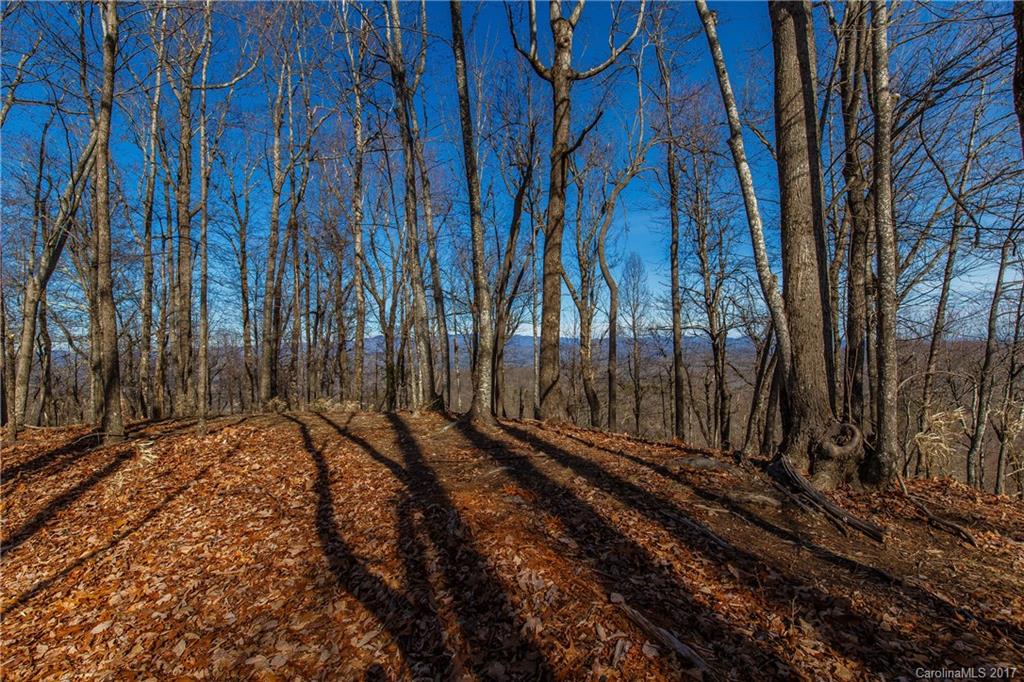 2 Nancy Mountain Road, Unit MULT Rosman, NC 28772 - Photo 13 of 19