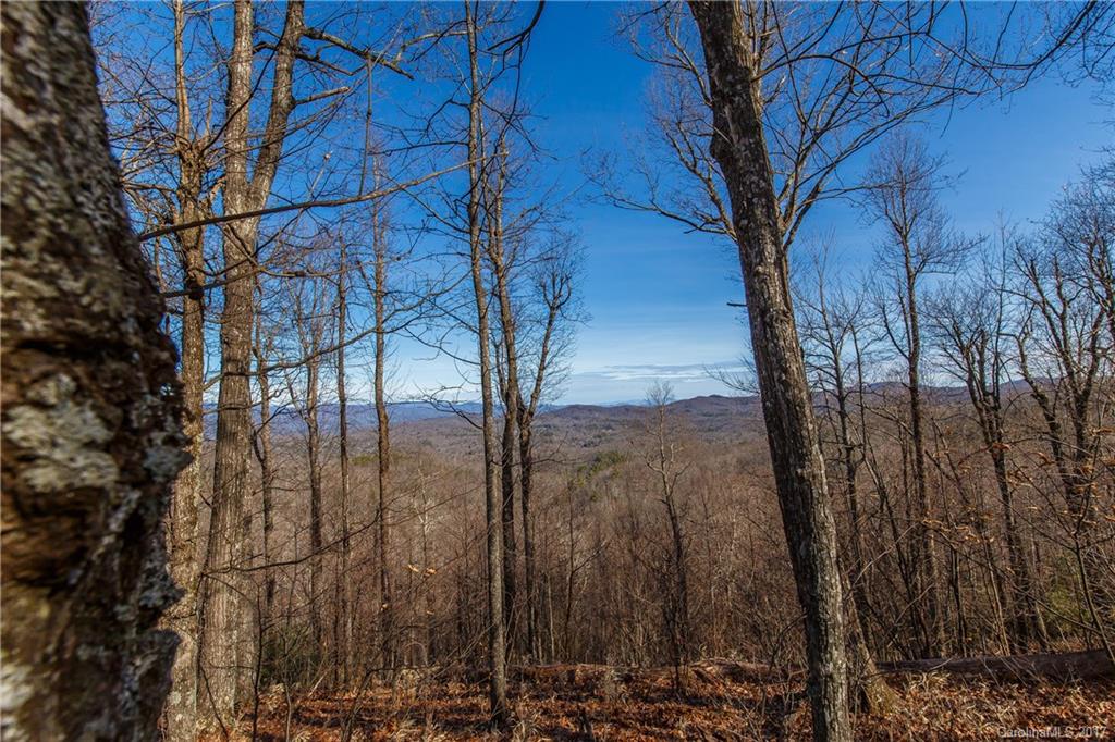 2 Nancy Mountain Road, Unit MULT Rosman, NC 28772 - Photo 14 of 19