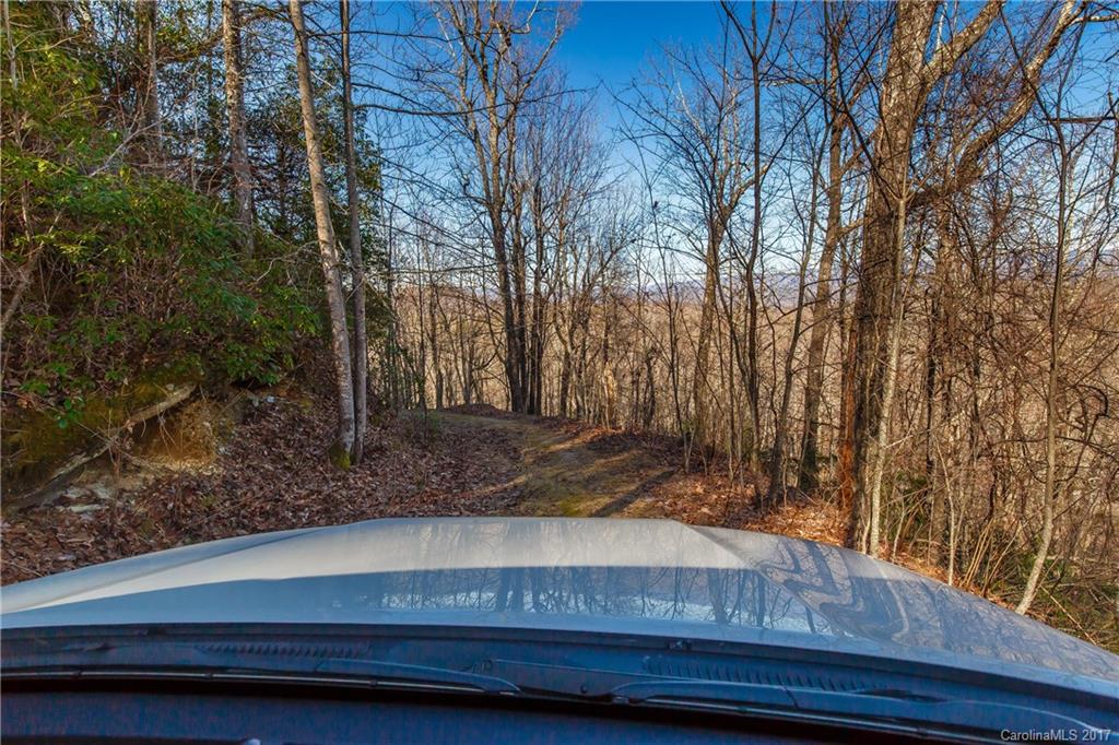 2 Nancy Mountain Road, Unit MULT Rosman, NC 28772 - Photo 15 of 19