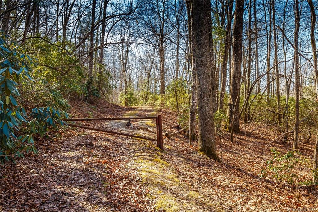 2 Nancy Mountain Road, Unit MULT Rosman, NC 28772 - Photo 18 of 19