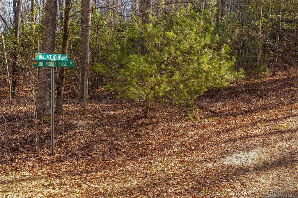 2 Nancy Mountain Road, Unit MULT Rosman, NC 28772 - Photo 19 of 19