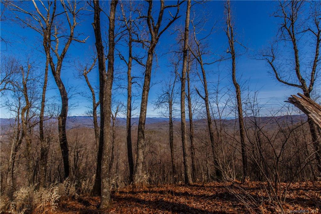 2 Nancy Mountain Road, Unit MULT Rosman, NC 28772 - Photo 3 of 19