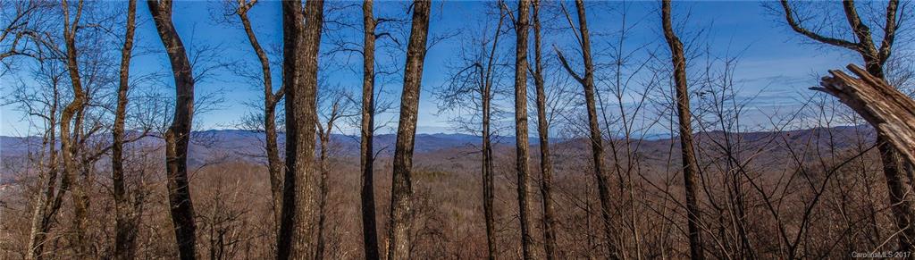 2 Nancy Mountain Road, Unit MULT Rosman, NC 28772 - Photo 4 of 19