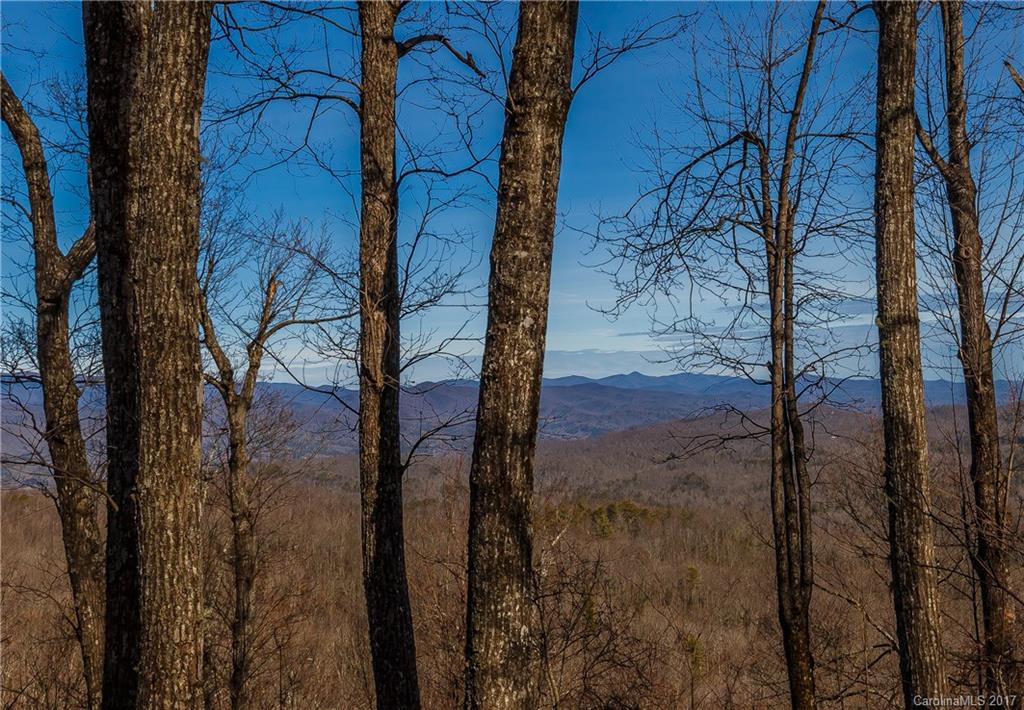 2 Nancy Mountain Road, Unit MULT Rosman, NC 28772 - Photo 5 of 19