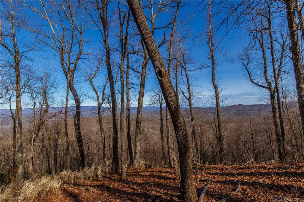 2 Nancy Mountain Road, Unit MULT Rosman, NC 28772 - Photo 6 of 19