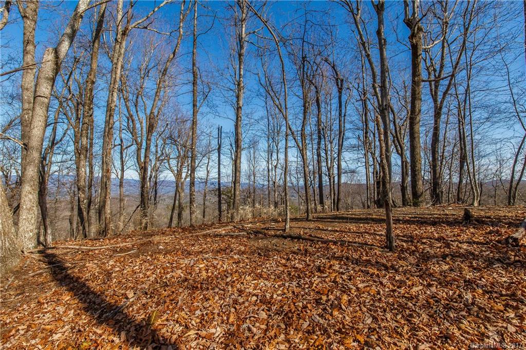 2 Nancy Mountain Road, Unit MULT Rosman, NC 28772 - Photo 7 of 19