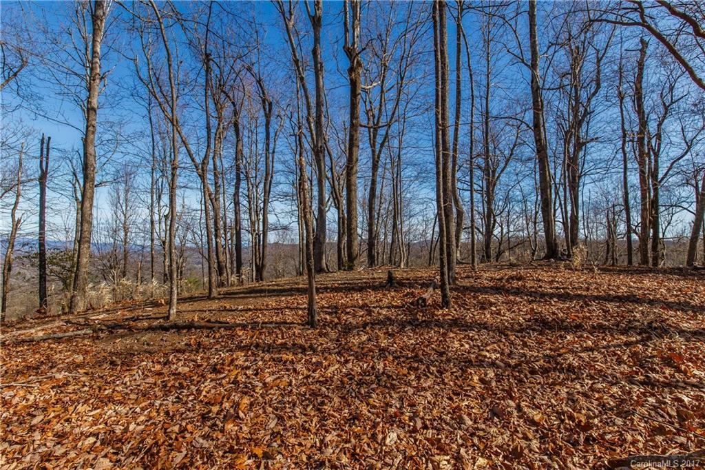 2 Nancy Mountain Road, Unit MULT Rosman, NC 28772 - Photo 8 of 19