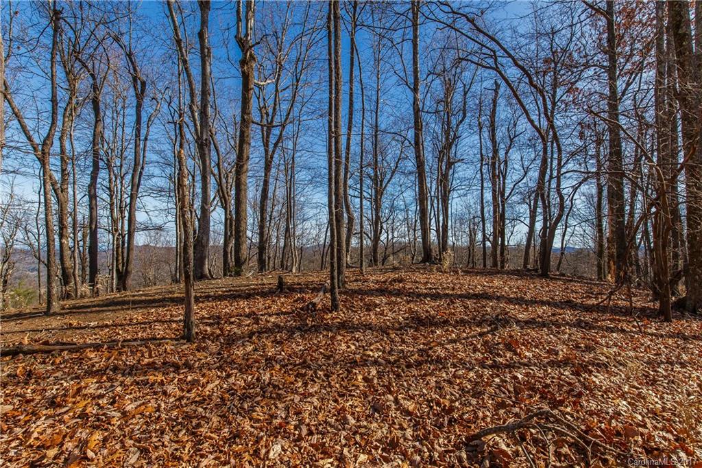2 Nancy Mountain Road, Unit MULT Rosman, NC 28772 - Photo 9 of 19