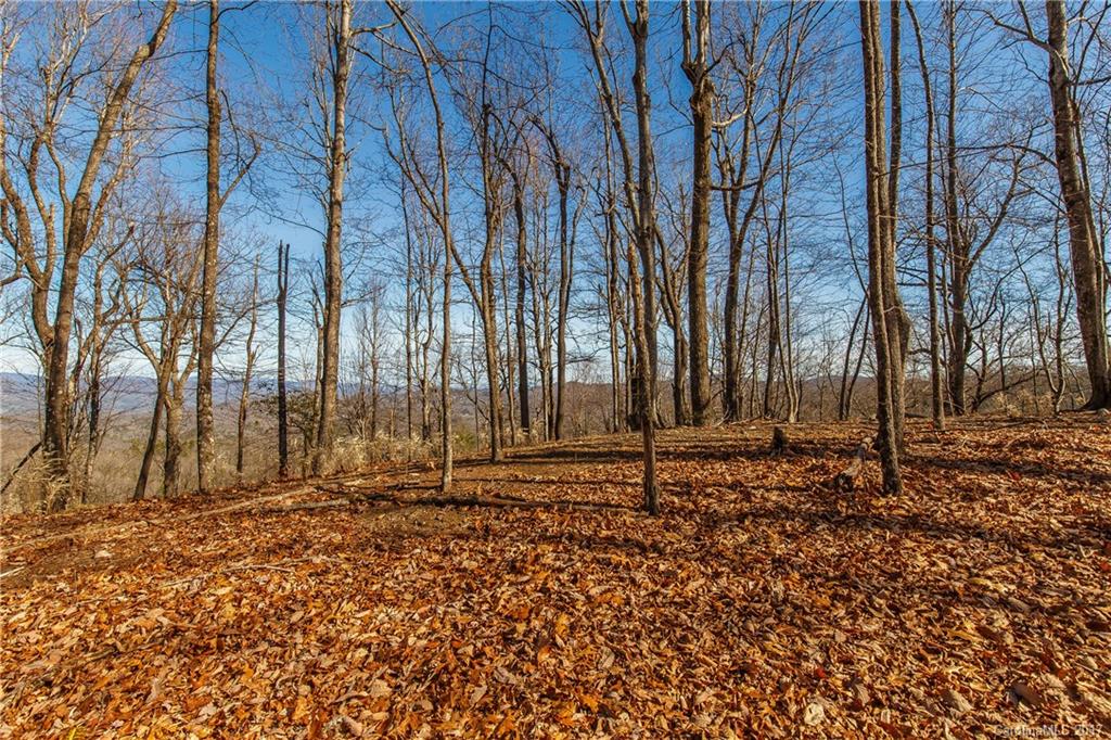2 Nancy Mountain Road, Unit MULT Rosman, NC 28772 - Photo 10 of 19