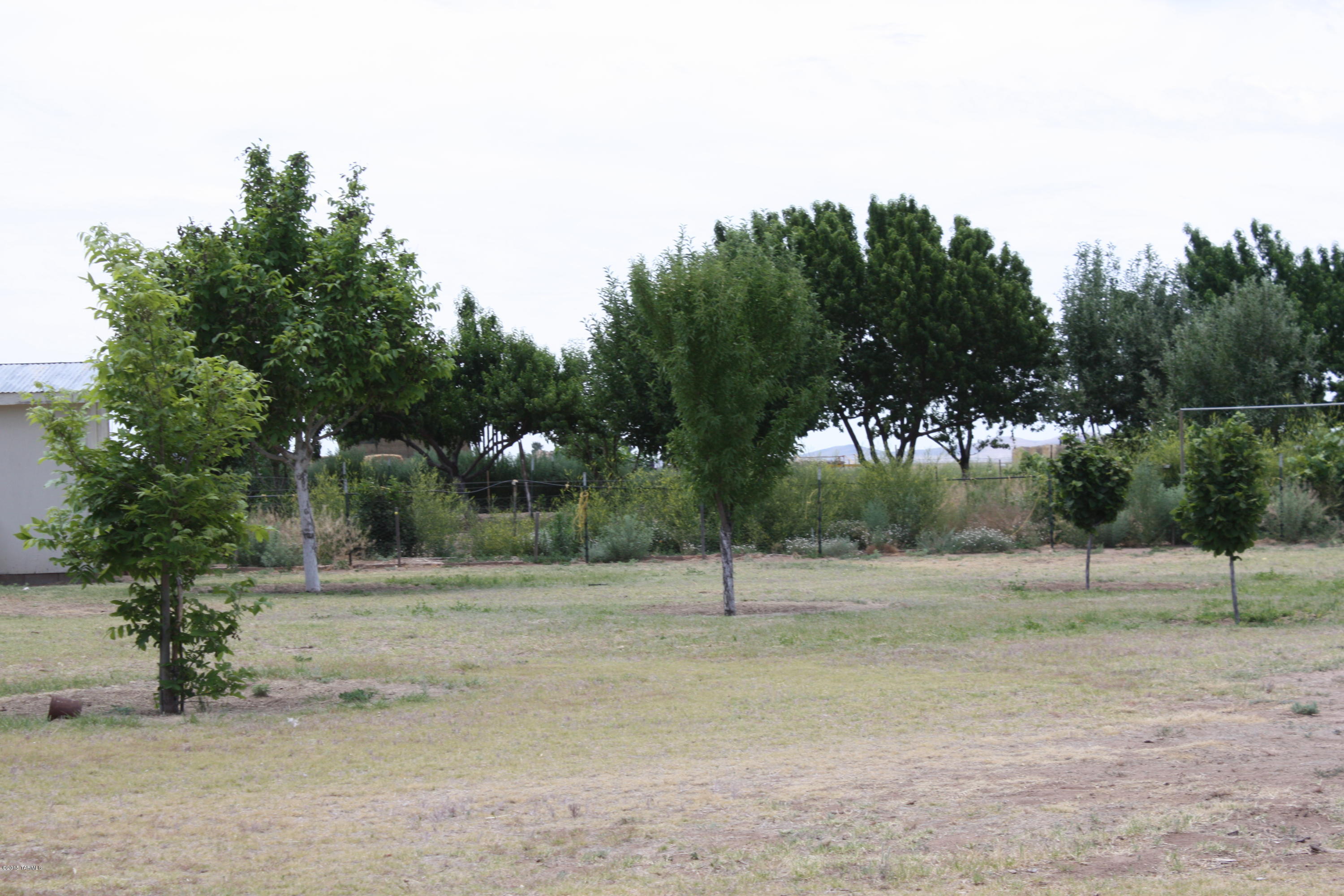 8909 Bell Ranch Road Willcox, AZ 85643 - Photo 20 of 23