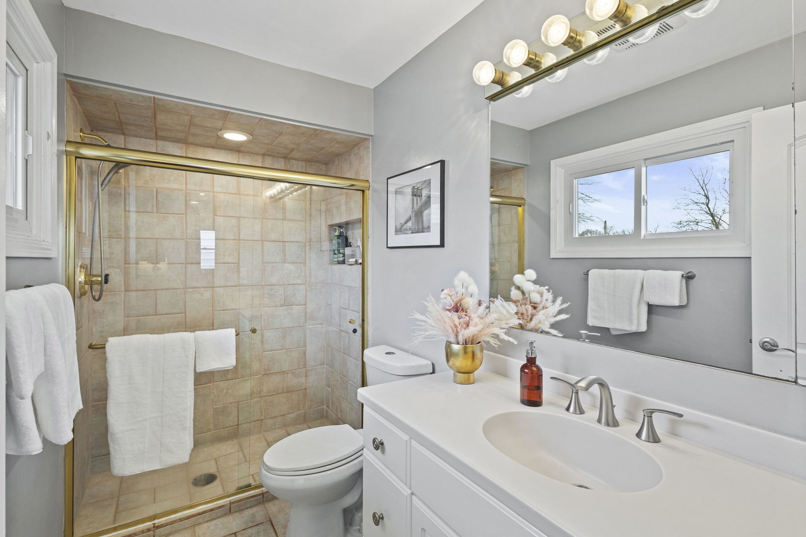 1600 Birch Street Park Ridge, IL 60068 - Photo 21 of 34 a bathroom with a sink a toilet and a mirror