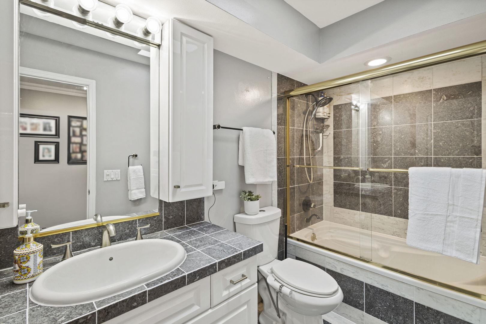 1600 Birch Street Park Ridge, IL 60068 - Photo 23 of 34 a bathroom with a granite countertop sink toilet a mirror and shower
