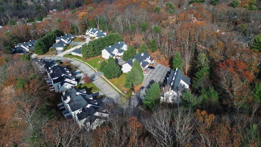 20 Millers Way, Unit C Sutton, MA 01590 - Photo 39 of 41 a view of a tree with a flower