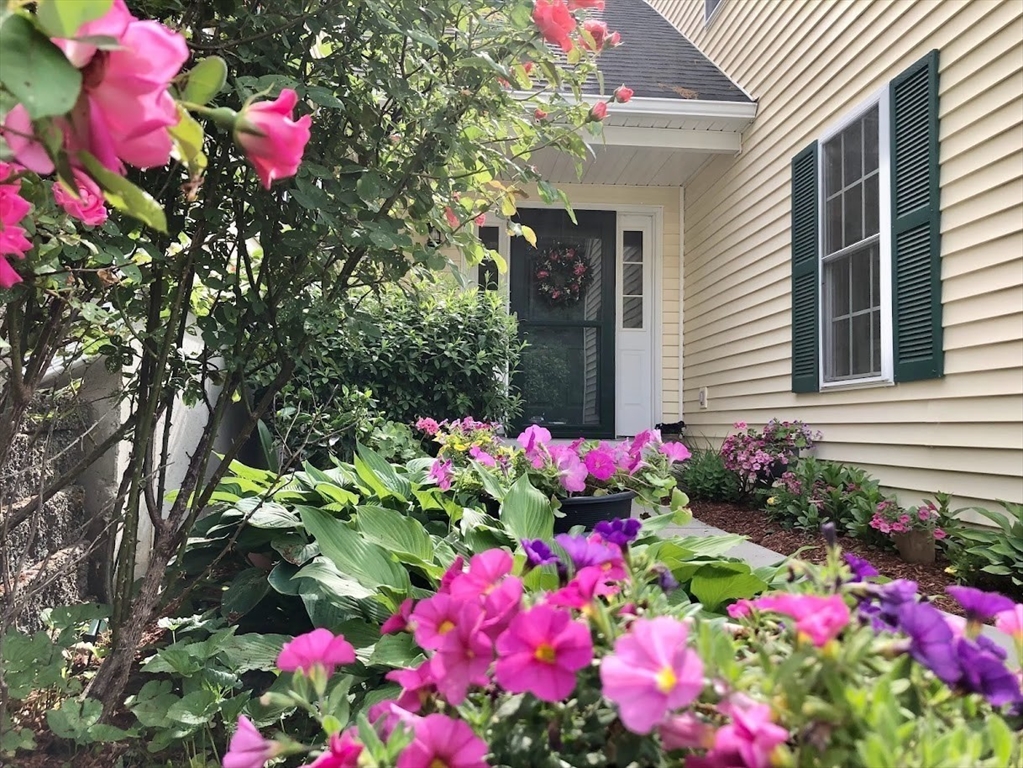 20 Millers Way, Unit C Sutton, MA 01590 - Photo 41 of 41 a flower garden view