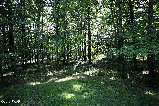 63 Baldwin Hill Road Damascus, PA 18415 - Photo 24 of 24