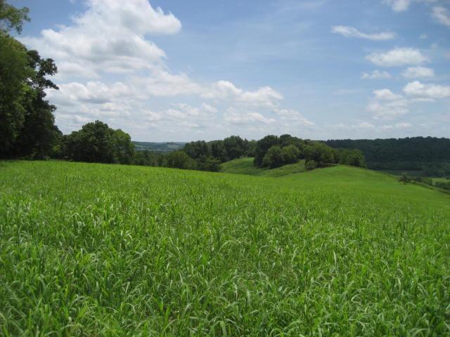 2179 Milky Way Road Pulaski, TN 38478 - Photo 12 of 12 Gallery Image 12