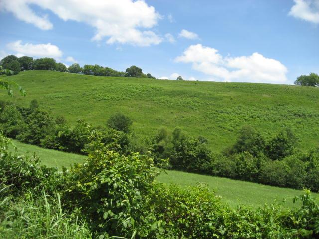 2179 Milky Way Road Pulaski, TN 38478 - Photo 4 of 12 Gallery Image 4