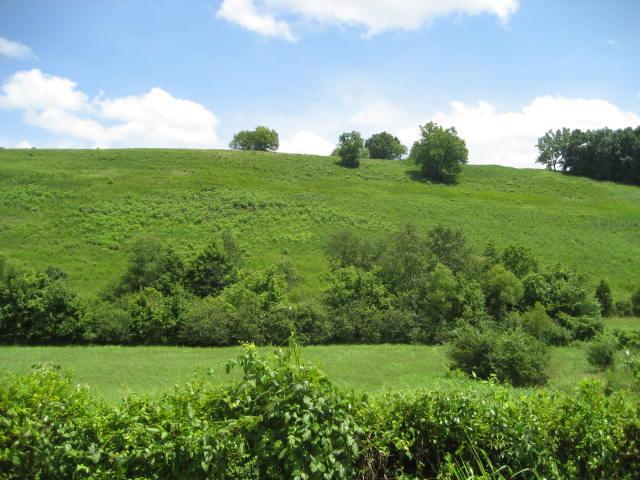 2179 Milky Way Road Pulaski, TN 38478 - Photo 5 of 12 Gallery Image 5