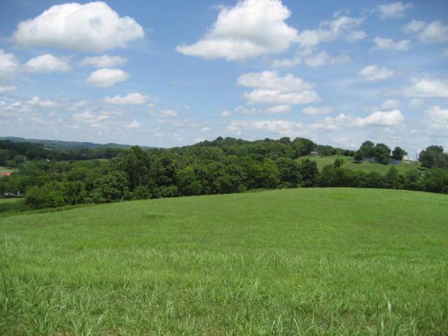 2179 Milky Way Road Pulaski, TN 38478 - Photo 6 of 12 Gallery Image 6