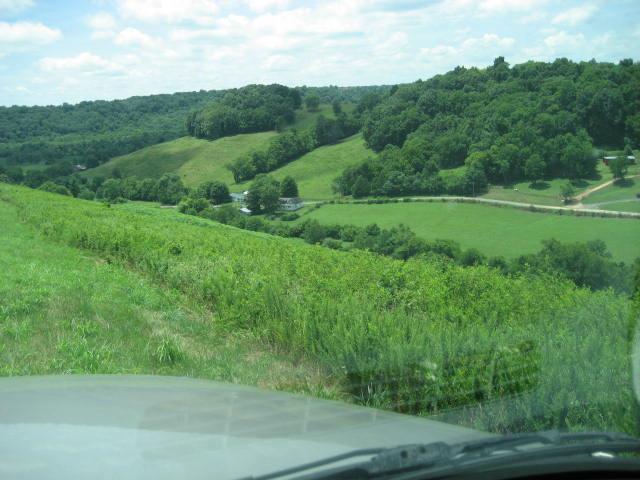 2179 Milky Way Road Pulaski, TN 38478 - Photo 8 of 12 Gallery Image 8