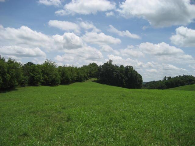 2179 Milky Way Road Pulaski, TN 38478 - Photo 9 of 12 Gallery Image 9