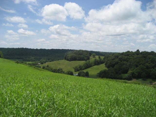 2179 Milky Way Road Pulaski, TN 38478 - Photo 10 of 12 Gallery Image 10