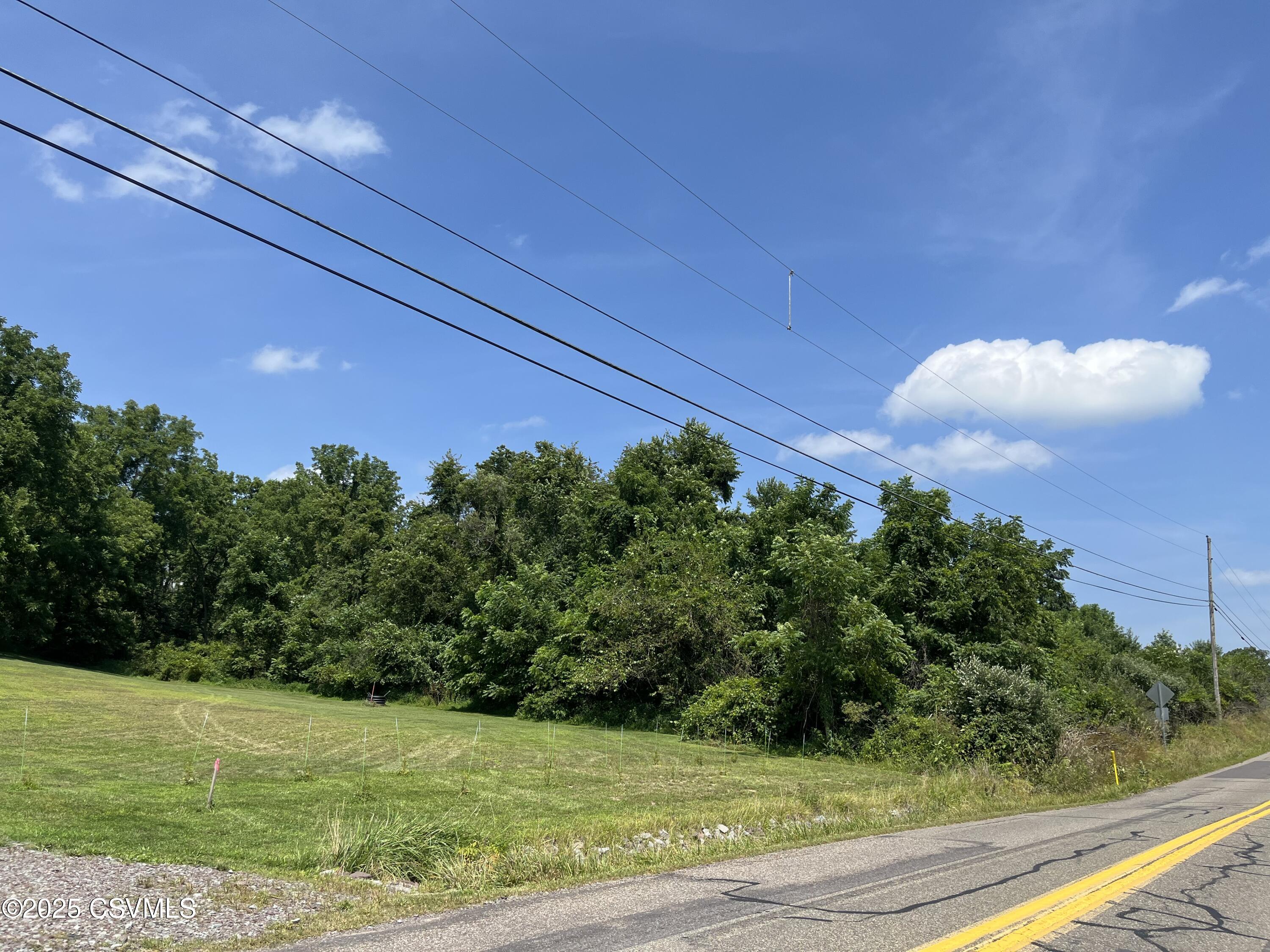 Lot 10 Lake Road Berwick, PA 18603 - Photo 2 of 3