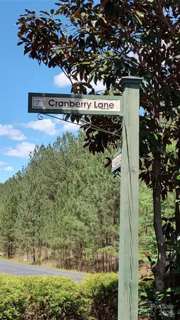 a picture of a tree