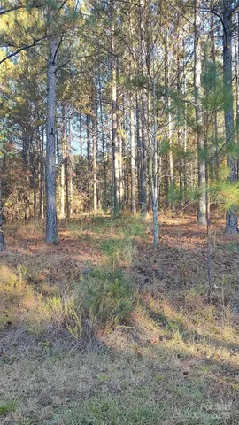 $64,500 | 116 Cranberry Lane, Mooresboro, NC 28114