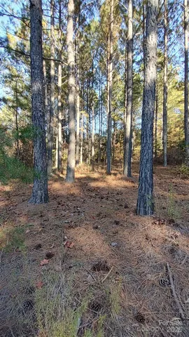 $64,500 | 116 Cranberry Lane, Mooresboro, NC 28114