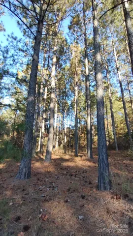 $64,500 | 116 Cranberry Lane, Mooresboro, NC 28114