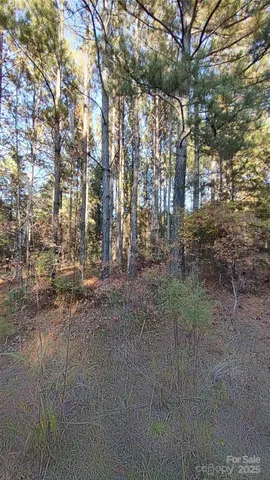 $64,500 | 116 Cranberry Lane, Mooresboro, NC 28114
