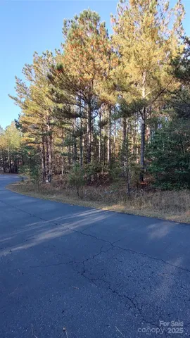 $64,500 | 116 Cranberry Lane, Mooresboro, NC 28114