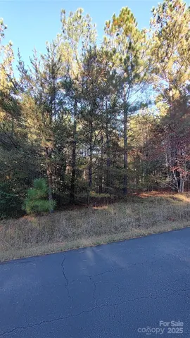 $64,500 | 116 Cranberry Lane, Mooresboro, NC 28114
