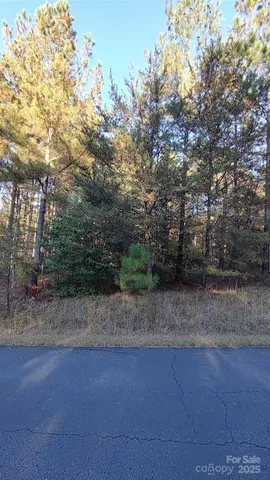 $64,500 | 116 Cranberry Lane, Mooresboro, NC 28114