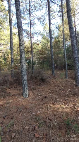 $64,500 | 116 Cranberry Lane, Mooresboro, NC 28114