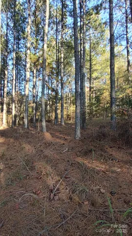 $64,500 | 116 Cranberry Lane, Mooresboro, NC 28114