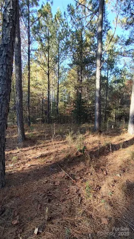 $64,500 | 116 Cranberry Lane, Mooresboro, NC 28114