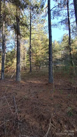 $64,500 | 116 Cranberry Lane, Mooresboro, NC 28114